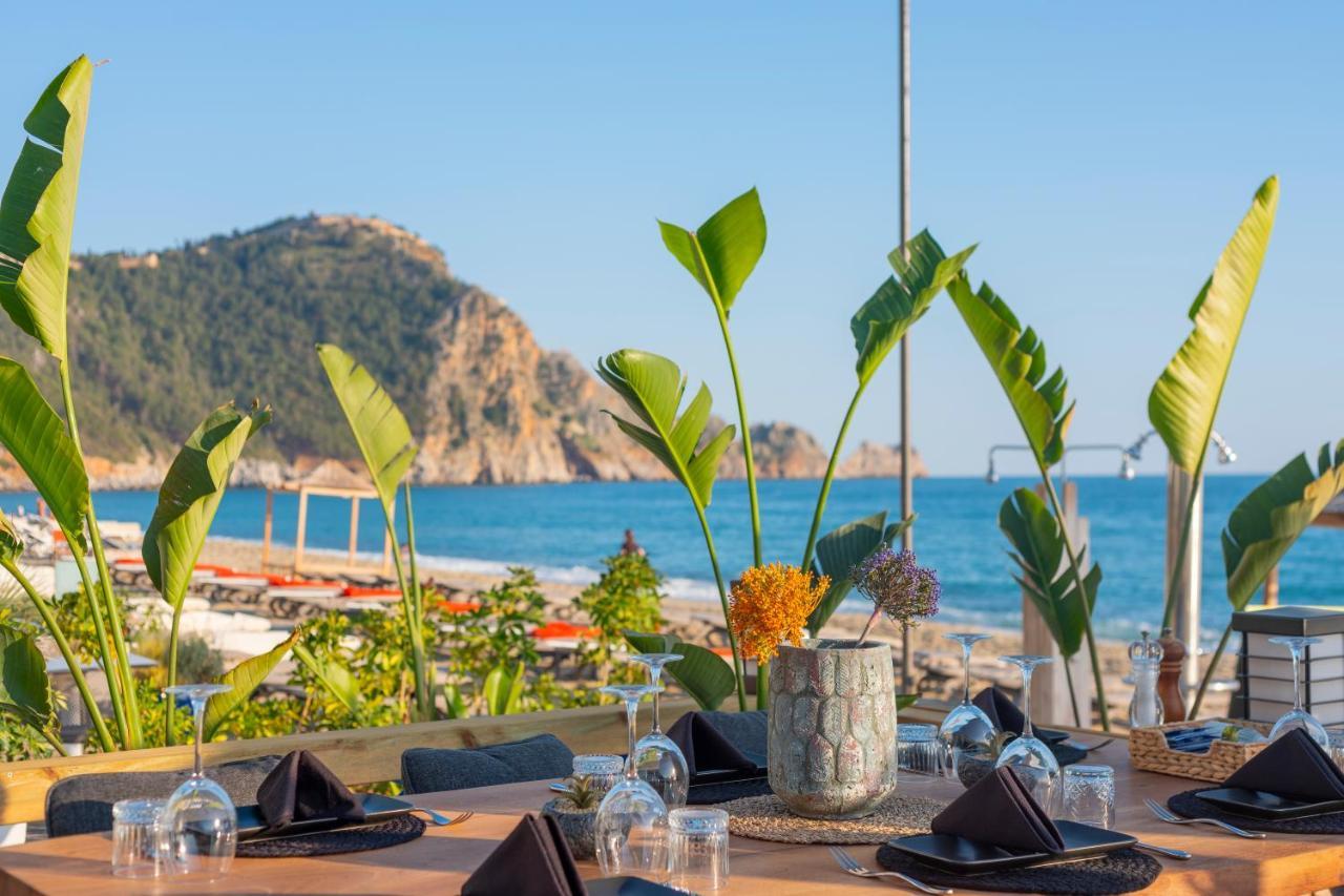 Royalisa Palmiye Beach Hotel Adult Only Alanya Zewnętrze zdjęcie